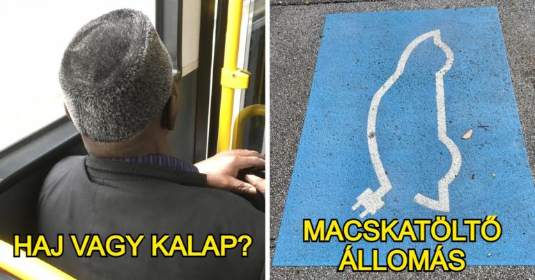 18 kép, ami bizonyítja, hogy az élet a trükkök kaméleonja