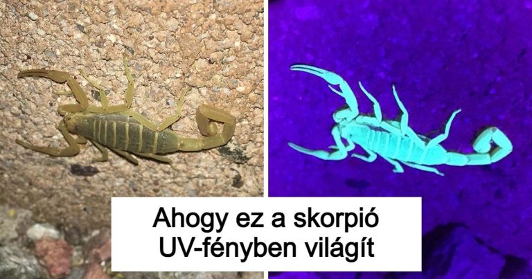 20 alkalom, mikor a természet nyomban megállított minket a lenyűgöző alkotásaival