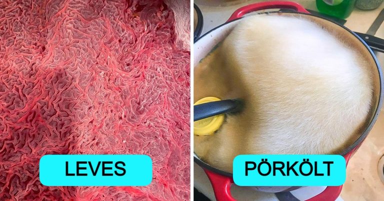 20+ fáradhatatlan kísérletező, aki válaszolt pár „Mi lenne, ha?” kérdésre