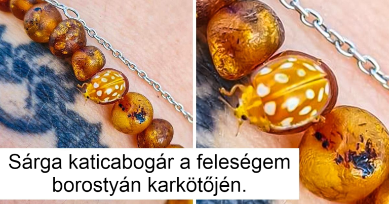 20 kellemes fotó, amely megnyugtatja a benned lévő perfekcionistát