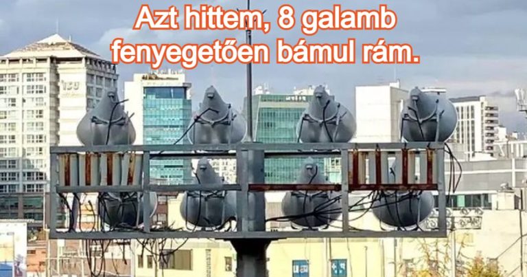 20 zavarba ejtő kép, amit kétszer meg kell nézned, hogy megtudd, mi történik