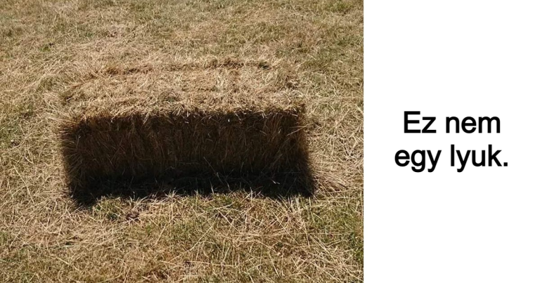 21 ember, aki megörökítette a Mátrix hibáit