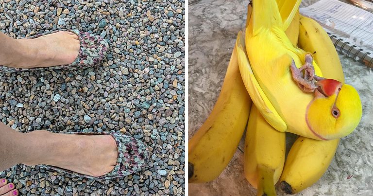 24 kép, ami miatt meg kell dolgoztatnod az agyadat, ha a válaszokat akarsz