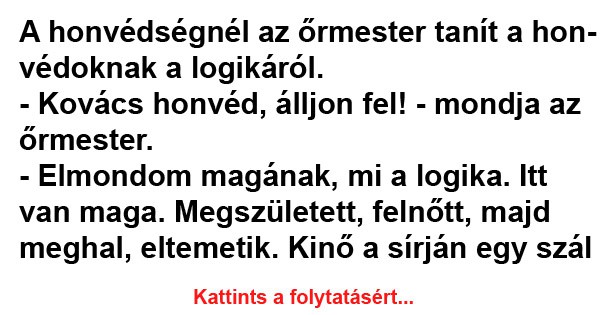 A honvédségnél az őrmester tanít a honvédoknak a logikáról