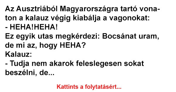 Az Ausztriából Magyarországra tartó vonaton