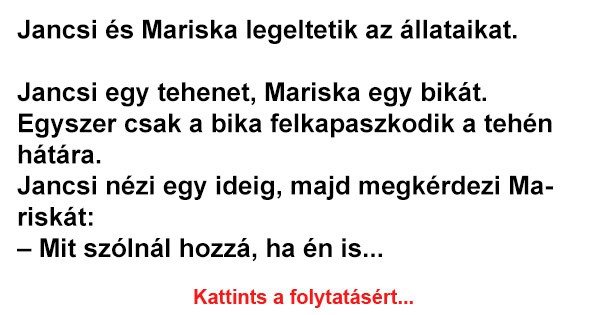 Jancsi és Mariska legeltetik az állataikat