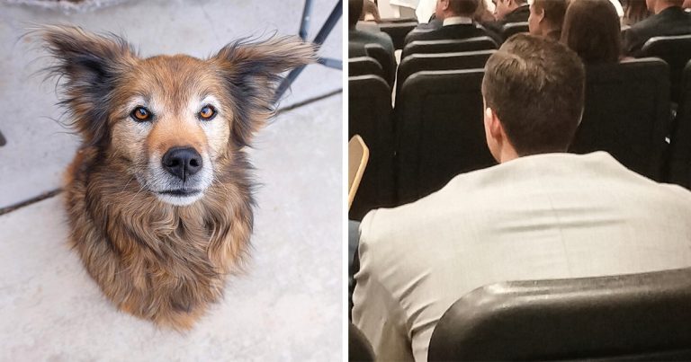 15+ félrevezető kép, ami miatt azt fogod mondani: „Megfogtál!”