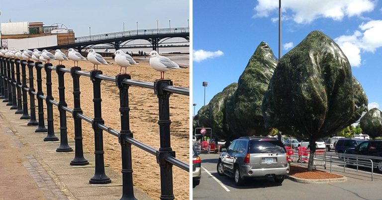 15+ zavaros fotó, ami miatt rángatózni kezdett a szemünk