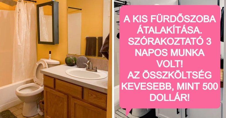 16 ember, akik teljesen átalakítottak és helységet és nagyon irigyek lettünk rájuk