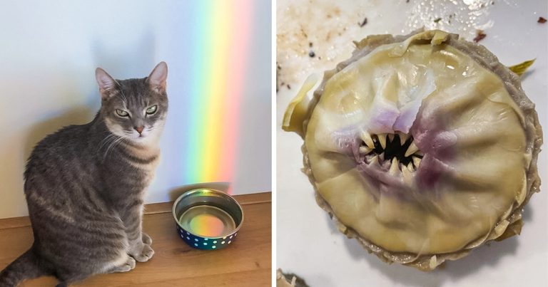 17 dolog, ami elindult egy küldetésre, hogy megdöbbentse az embereket