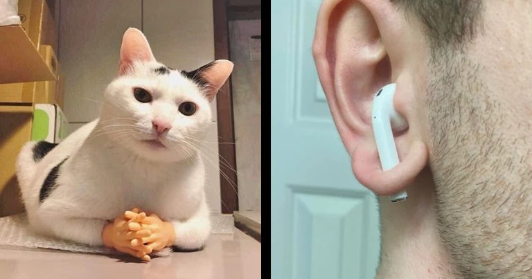 17 kép, amiről nem tudjuk elhinni, hogy valóban létezik