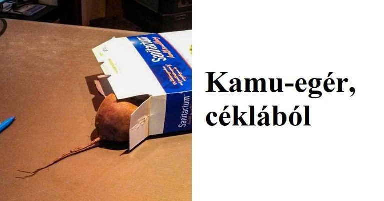 25 család, akiknek a vérükben van a humor