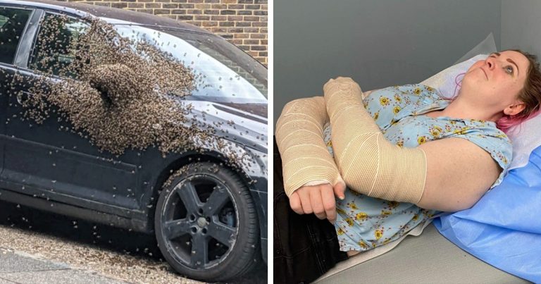 15 alkalom, mikor az emberek a legszerencsétlenebb kudarcokat élték át, és egyszerűen muszáj volt fotózni őket