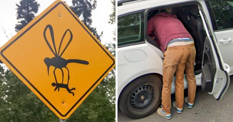 15 szokatlan dolog, ami kilógott az emberek hétköznapi rutinjából