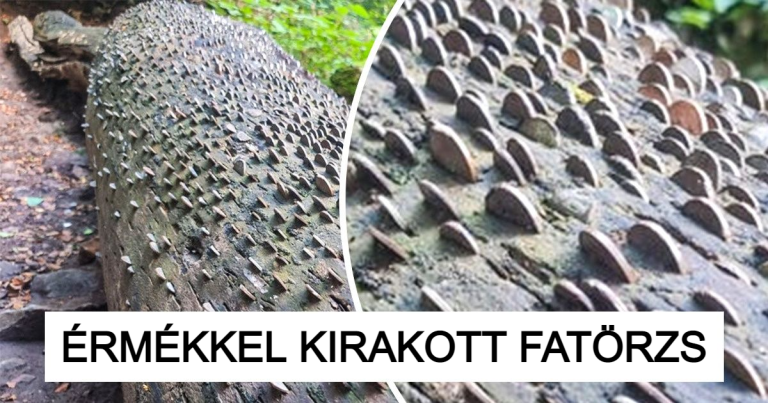 18 alkalom, mikor az emberek figyelemre méltó dolgokkal találkoztak