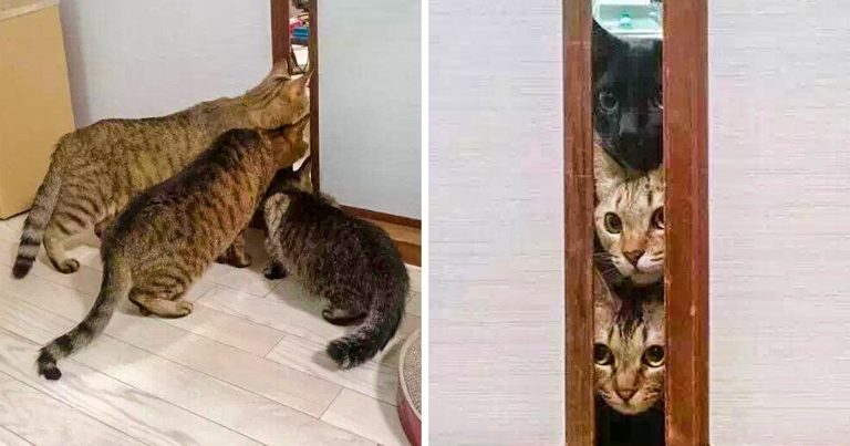 20+ első alkalom, ami felkavarta az érzelmeket