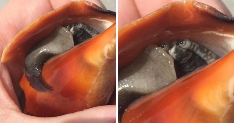 20 ritka dolog, amit nem fognak tudni elfelejteni