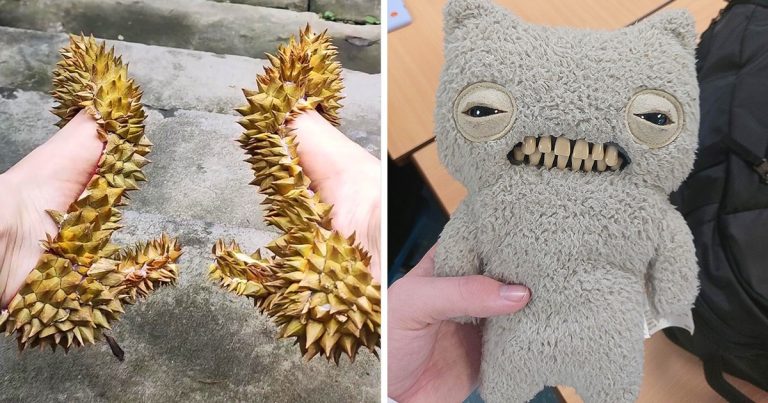 16 dolog, ami egyszerre összezavar és szórakoztat