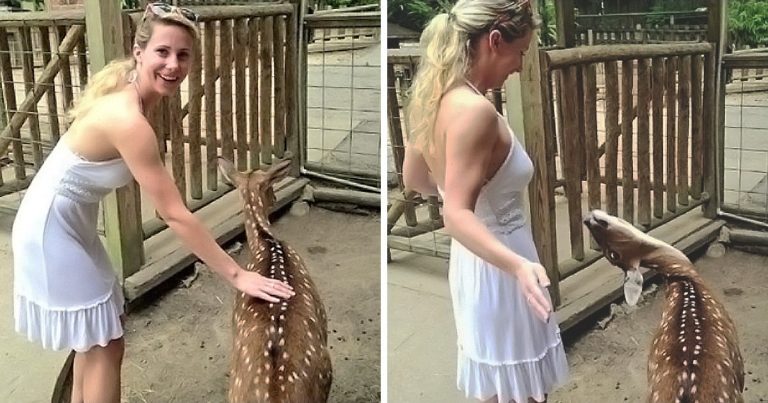 15+ alkalom, amikor az emberek úgy láttak egy műsort, hogy nem is számítottak rá