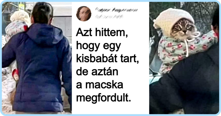 15 alkalom, amikor egy izgalmas felfedezés bearanyozta valakinek a napját