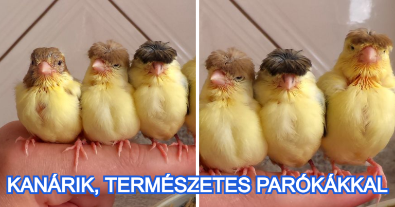 15+ alkalom, mikor a természet igazi mesterműveket alkotott