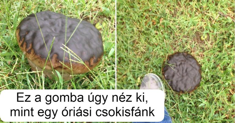 15 eset, amikor az emberek elsőre nem tudták megfejteni, mi történik valójában