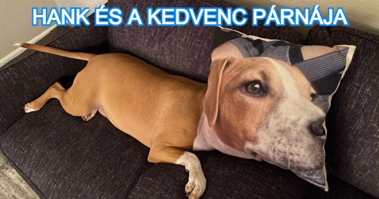 15+ fotó, ami annál jobban vonzani fog, minél tovább nézed