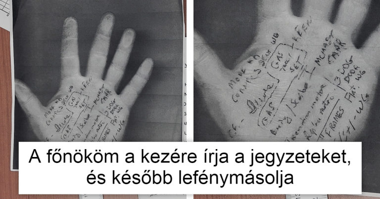 17 alkalom, mikor az élet bebizonyította, hogy csodái végtelenek