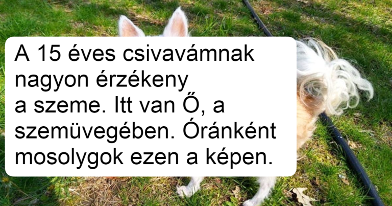 18 ember megosztotta azokat az örömteli pillanatokat, amelyek miatt fülig érő szájjal mosolyogtak