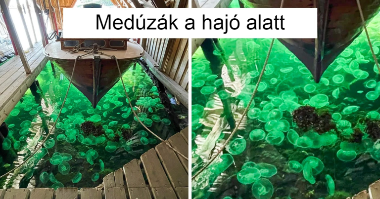 18 fotó, ami bizonyítja, hogy az élet olyan, mint egy meglepetésekkel teli ajándékcsomag