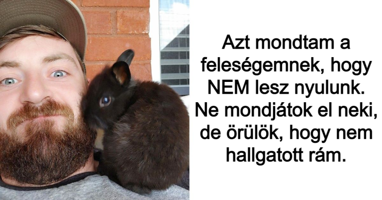 19 háziállat, aki szerelmi varázslatot szórt gazdáikra