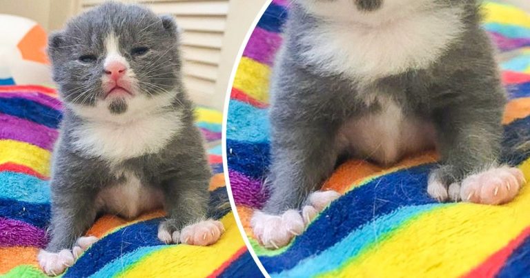 19 kép, ami emlékeztet minket arra, hogy az univerzum sok meglepetést tartogat számunkra