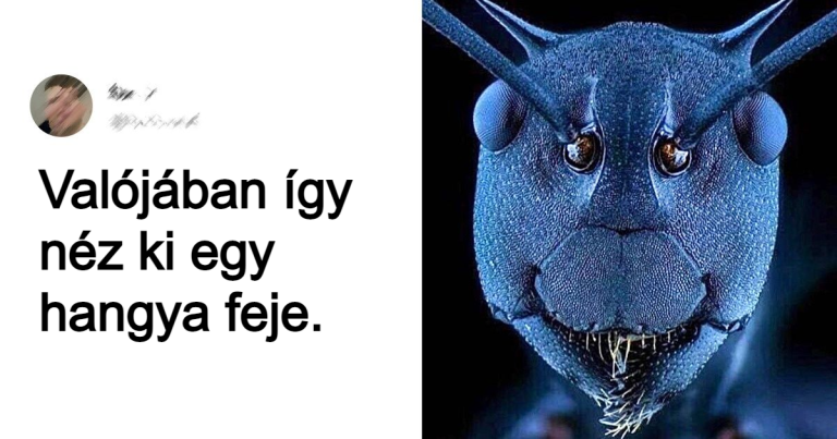 20 alkalom, mikor a világunknak sikerült meglepnie minket