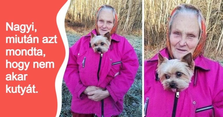 20 alkalom, mikor az emberiség üdvözítő oldalát sikerült megörökíteni egy fotón