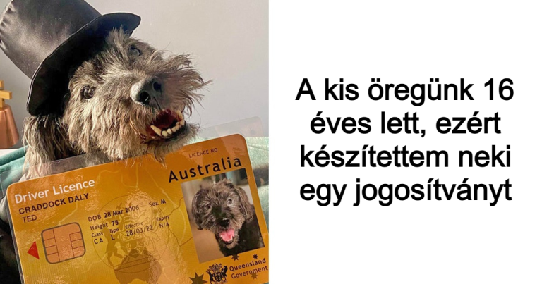 20 édes kép, ami megolvasztja szívedet