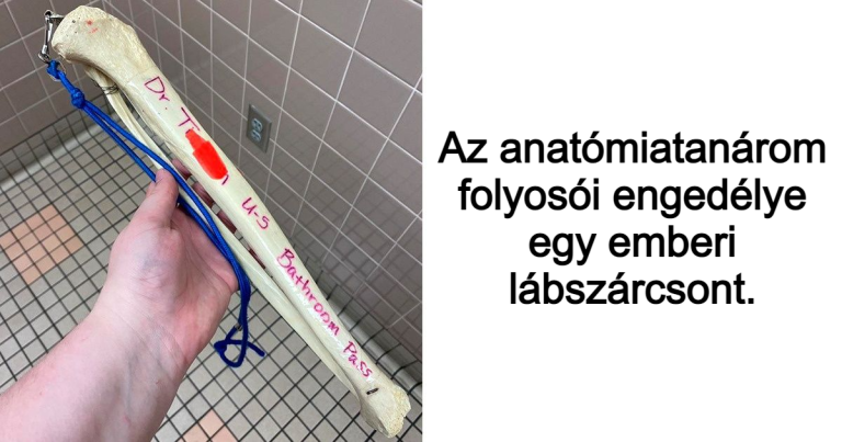 20 megkérdőjelezhető lelet, ami bárkit megdöbbenthet