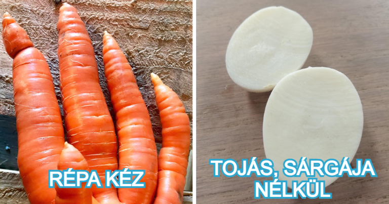 20 őrületes felfedezés, aminek látszólag egy másik bolygón lenne a helye