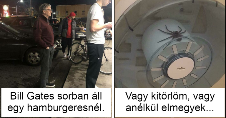20 vicces kép emberekről és állatokról, akik elfogadják a szokatlan helyzeteket