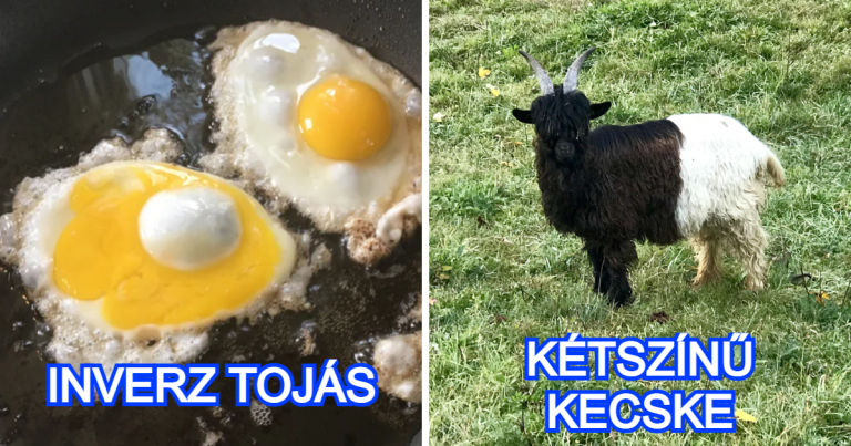 21 alkalom, amikor a természet ravasz trükköket játszott velünk