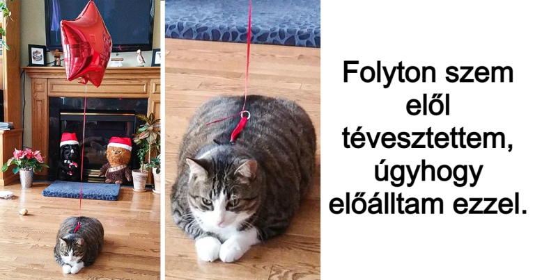 21 ember, aki a bajok kezelésének nindzsája