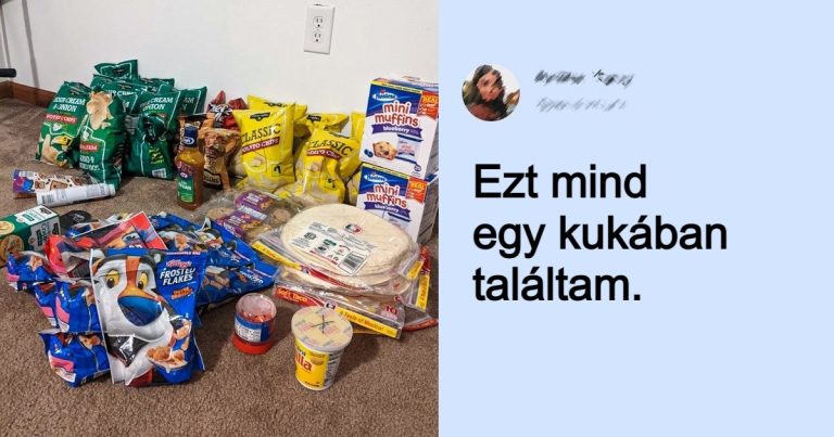 23 kép, ami bizonyítja, hogy ami valakinek szemét, az másnak kincset érhet