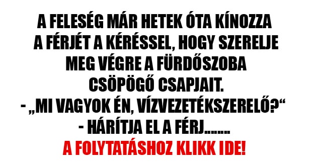 A feleség már hetek óta kínozza a férjét a kéréssel, hogy szerelje meg végre a fürdőszoba csöpögő csapjait.