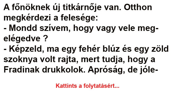 A főnöknek új titkárnője van