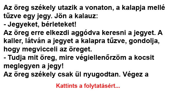 Az öreg székely utazik a vonaton, a kalapja mellé tűzve egy jegy