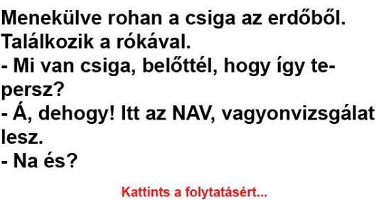 NAPI VICC: Menekülve rohan a csiga az erdőből