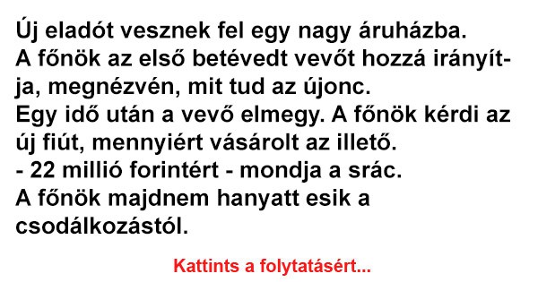 Új eladót vesznek fel egy nagy áruházba