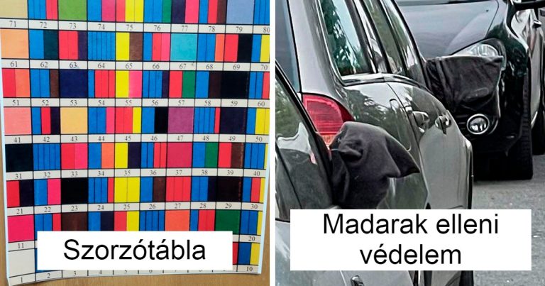 15 alkalom, mikor az embereknek fogalmuk sem volt, hogy mit látnak, de az internet besegített