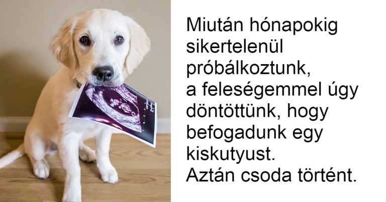 15 fotó, ami egy tonna örömmel fogja beindítani a napod