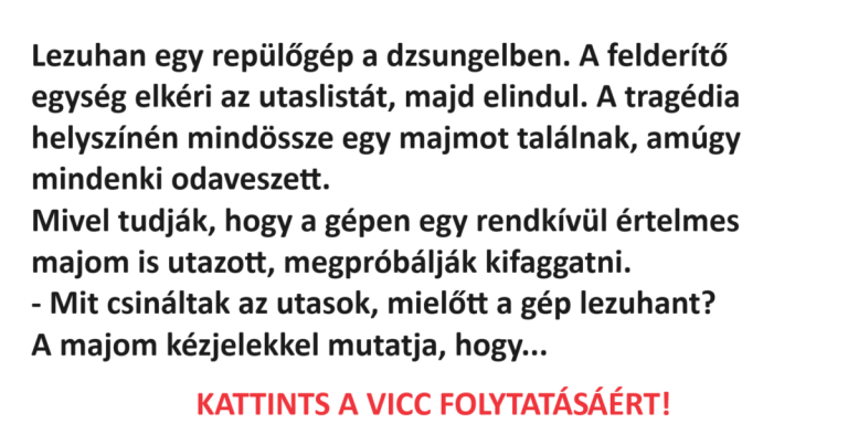 Lezuhan egy repülőgép a dzsungelben