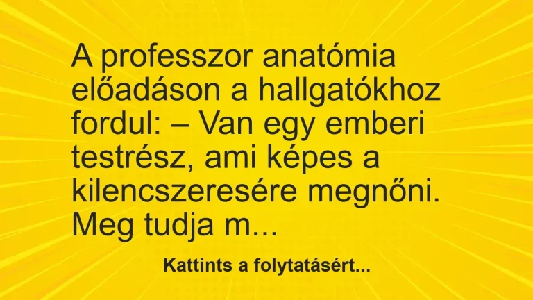 VICC: A professzor anatómia előadáson a hallgatókhoz fordul: